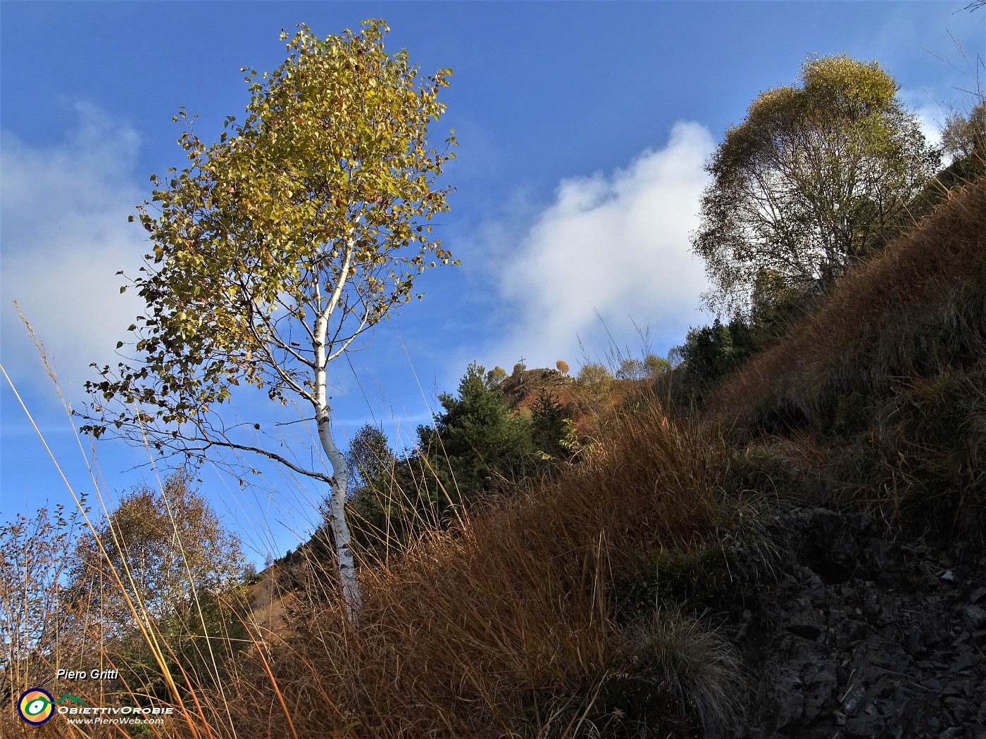31 Sentiero in decisa salita colorata d'autunno .JPG